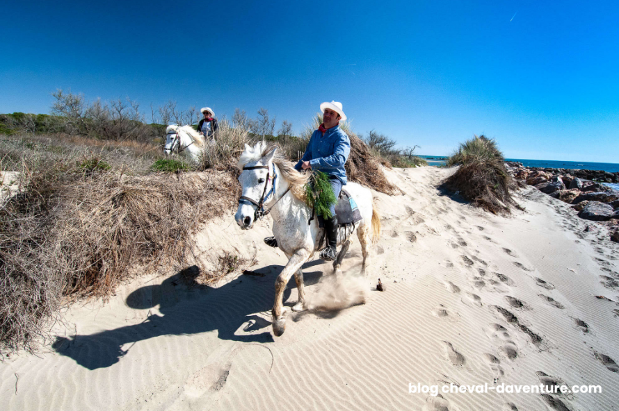 Séjour équestre en Camargue avec Cheval d'Aventure