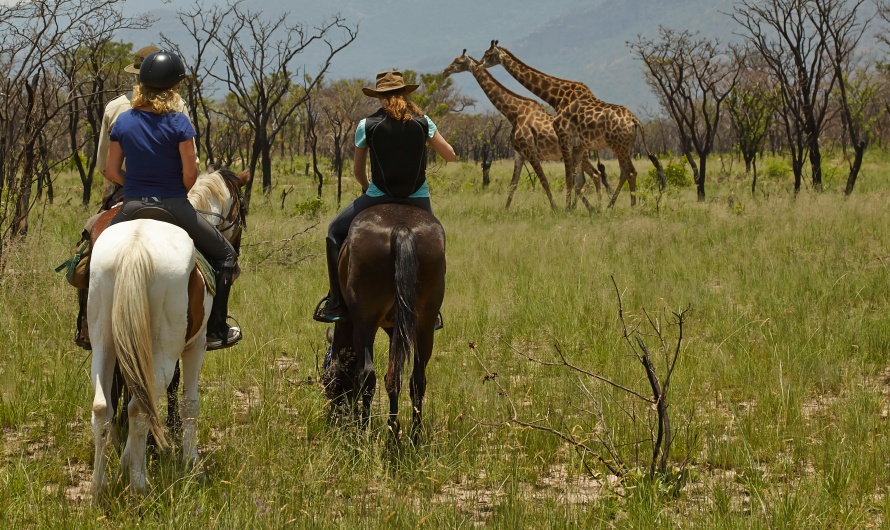 Safari à cheval en Afrique du Sud avec Cécile, à gauche @Blog Cheval d'Aventure