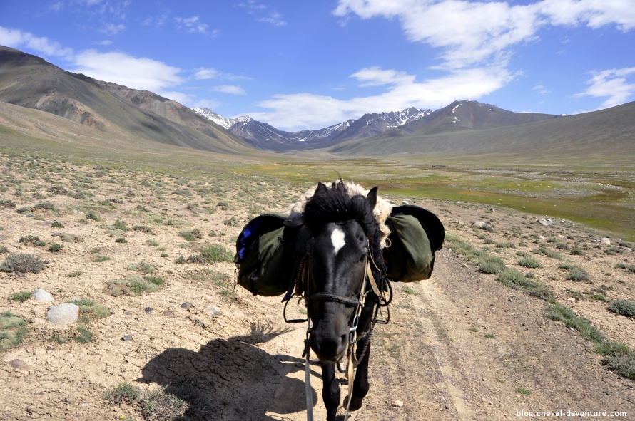 Cheval au Tadjikistan @Blog Cheval d'Aventure