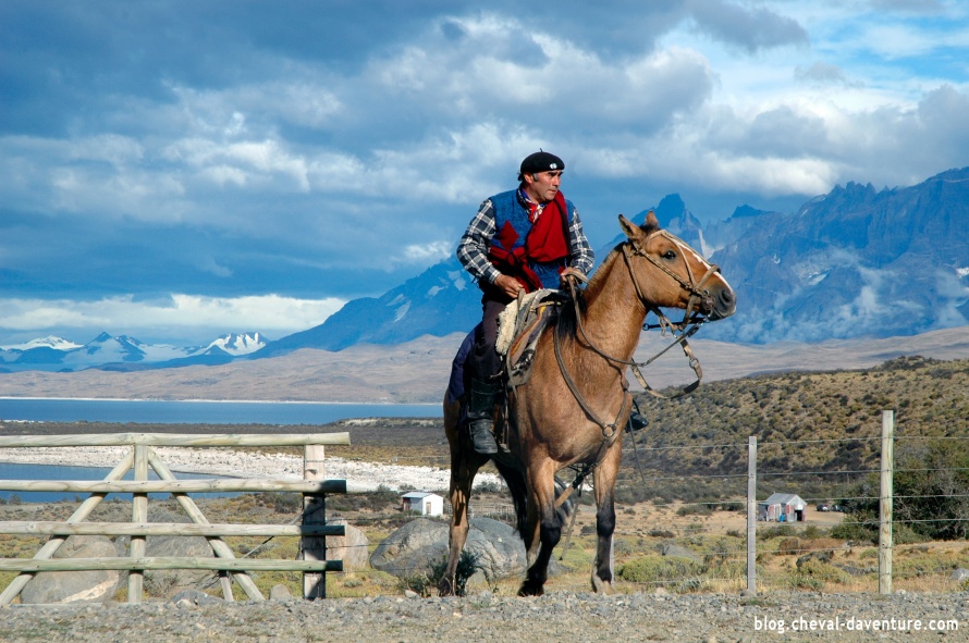 Gaucho et son criollo en Patagonie chilienne @Blog Cheval d'Aventure