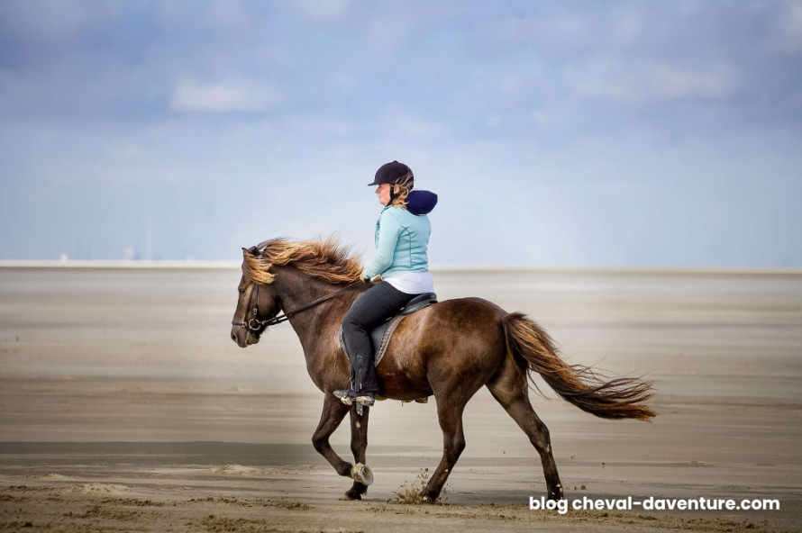 Le Danemark à cheval avec Cheval d'Aventure