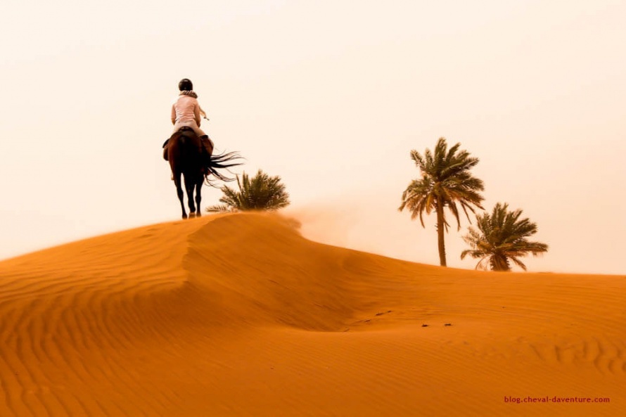 Un désert cher à Théodore Monod... @Blog Cheval d'Aventure