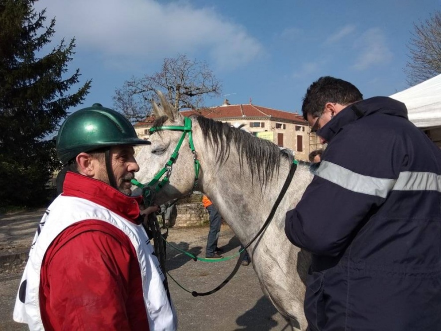 En attente du verdict du vétérinaire qui mesure la fréquence cardiaque du cheval @Blog Cheval d'Aventure