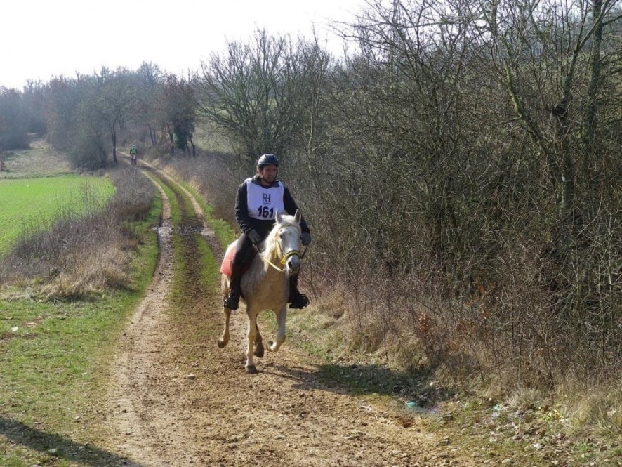 La bonne gestion des allures de son cheval est le secret en endurance @Blog Cheval d'Aventure