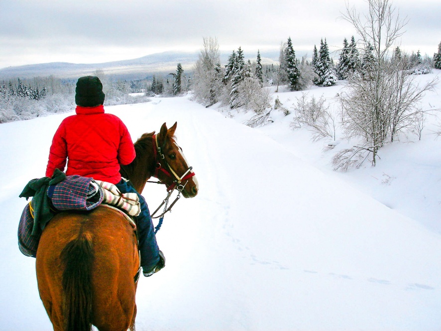 Un bon équipement pour profiter de belles randonnée à cheval sous la neige.