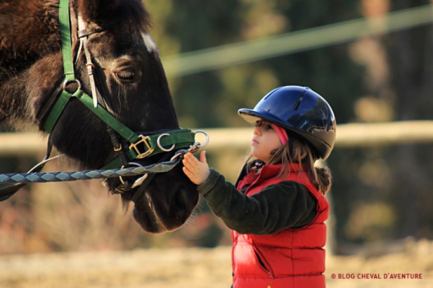Enfant devant un cheval @Blog Cheval d'Aventure