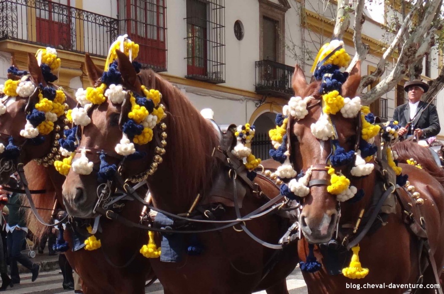 Attelage de chevaux décorés pour la feria de Séville @Blog Cheval d'Aventure