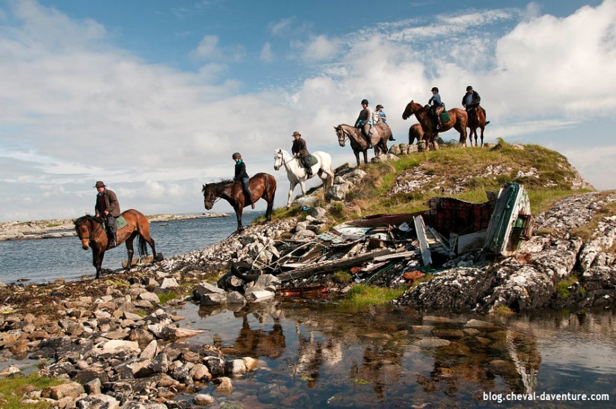 Chevaux sur la côte sauvage du Connemara @Blog Cheval d'Aventure