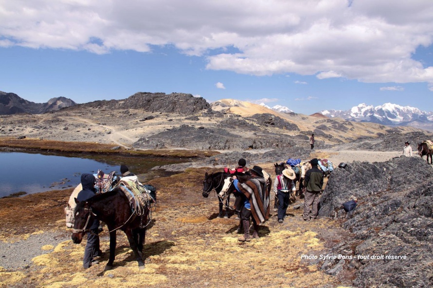 Caravane de chevaux et de cavaliers @Blog Cheval d'Aventure