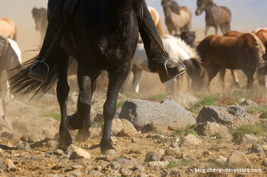 Pieds d'un cavalier et les sabots de son cheval islandais @Blog Cheval d'Aventure