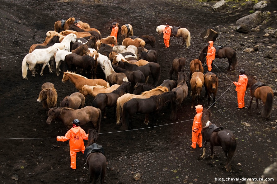 Nos cavaliers voyageurs et leurs tenues 100% imperméable en Islande @Blog Cheval d'Aventure