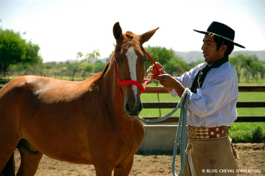 Préparation du cheval en Argentine @Blog Cheval d'Aventure