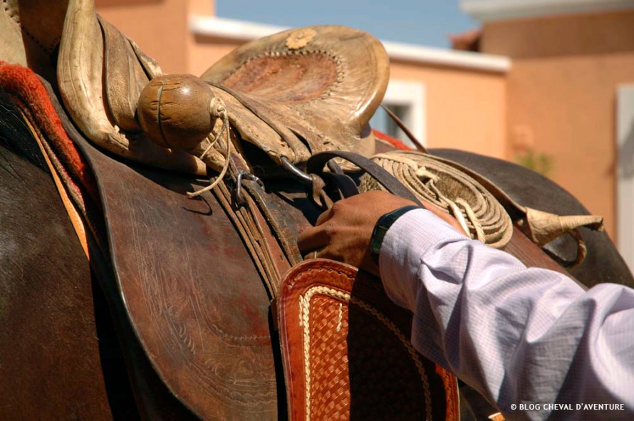 Seller le cheval Argentine @Blog Cheval d'Aventure
