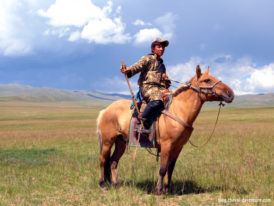 Cheval mongol @Blog Cheval d'Aventure