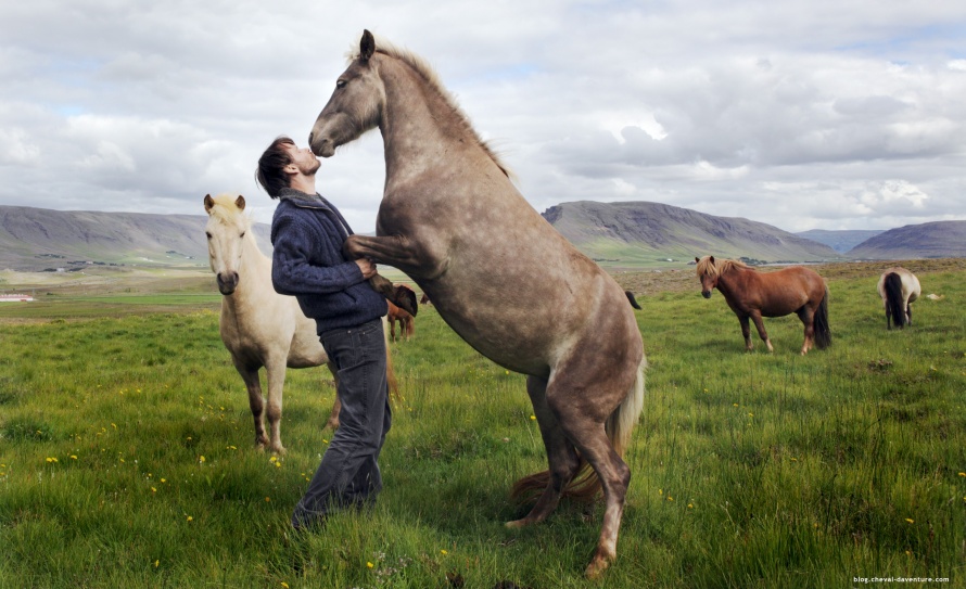 Complicité entre le cavalier et son cheval en Islande @Blog Cheval d'Aventure