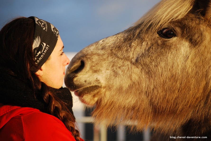 Baiser d'une cavalière en Islande @Blog Cheval d'Aventure