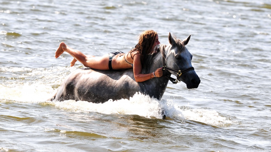 Baignade à cheval en Aquitaine lors d'une randonnée en itinérance @Blog Cheval d'Aventure
