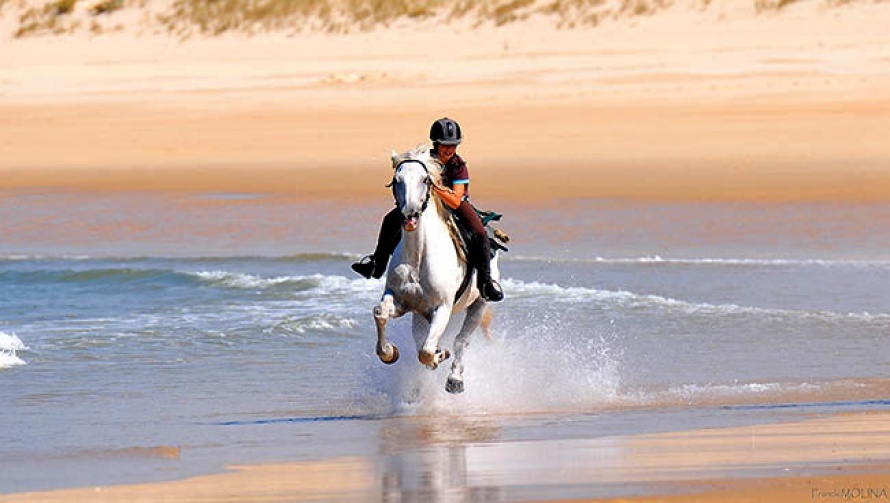 Galop sur la plage pour un jeune cavalier en Aquitaine © Franck Molina