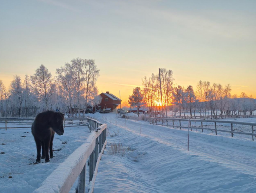 Le silence dense de la Laponie