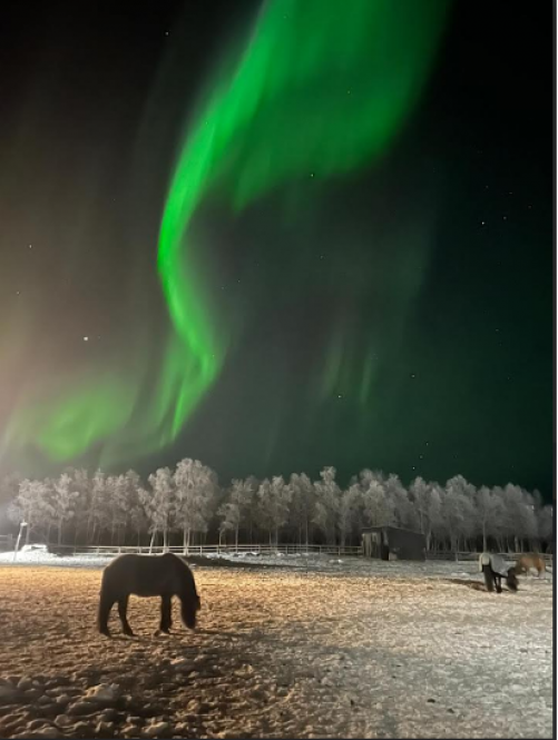 Les voiles vertes des aurores boréales