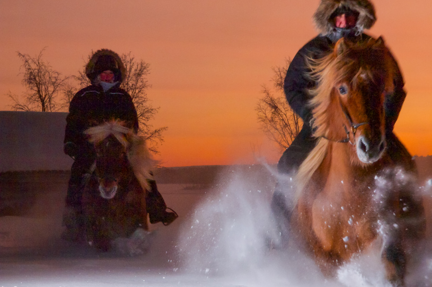 Randonnée rythmée par le souffle chaud du cheval Islandais