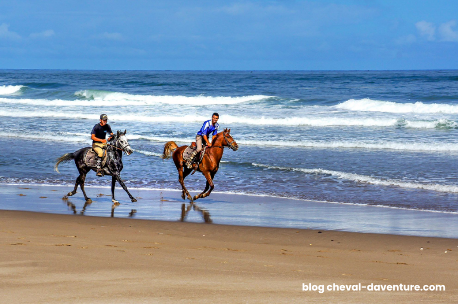 Au galop sur les plages du Maroc