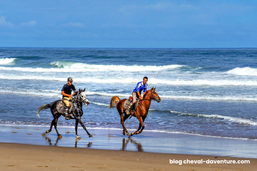 Séjour équestre au Maroc avec Cheval d'Aventure