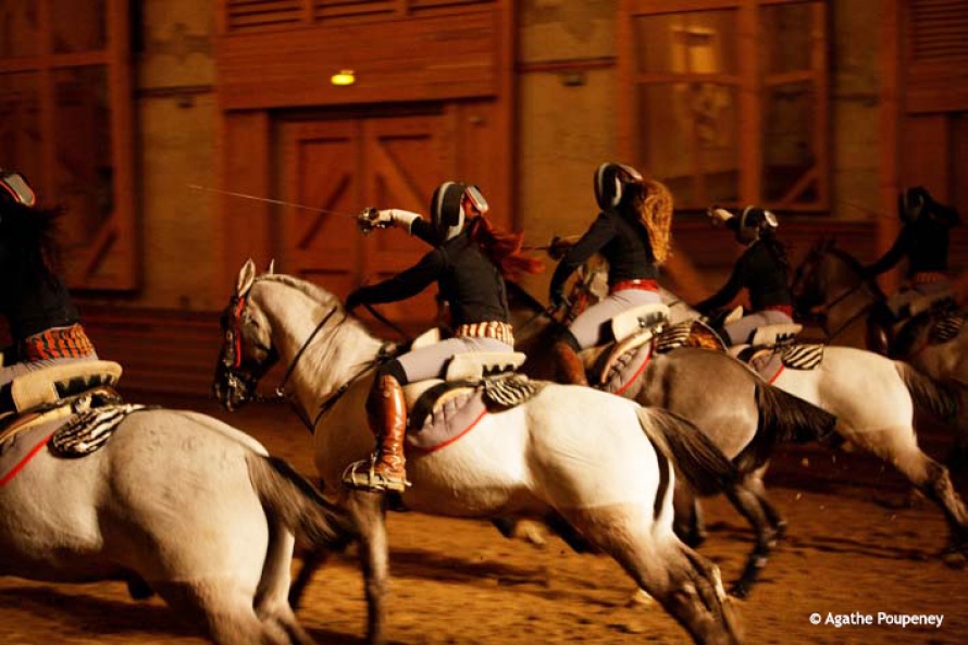 L’Académie Equestre de Versailles @Blog Cheval d'Aventure
