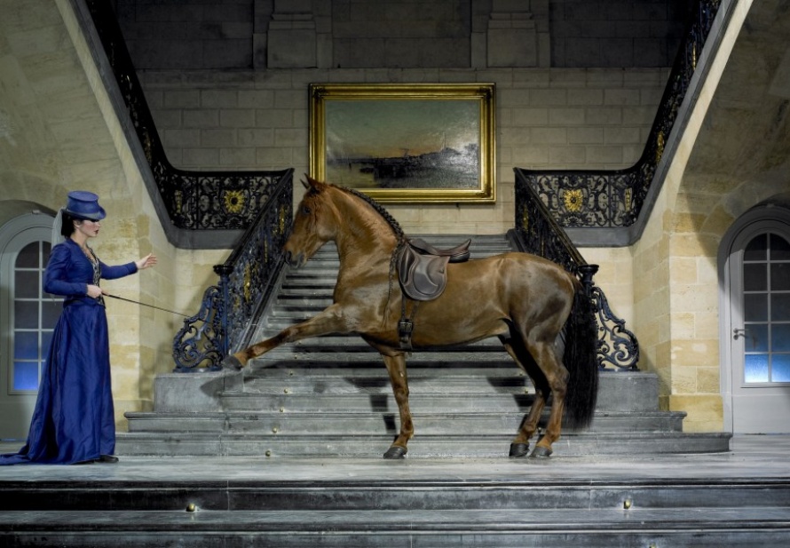 Séance photo avec un cheval @ Blog Cheval d'Aventure