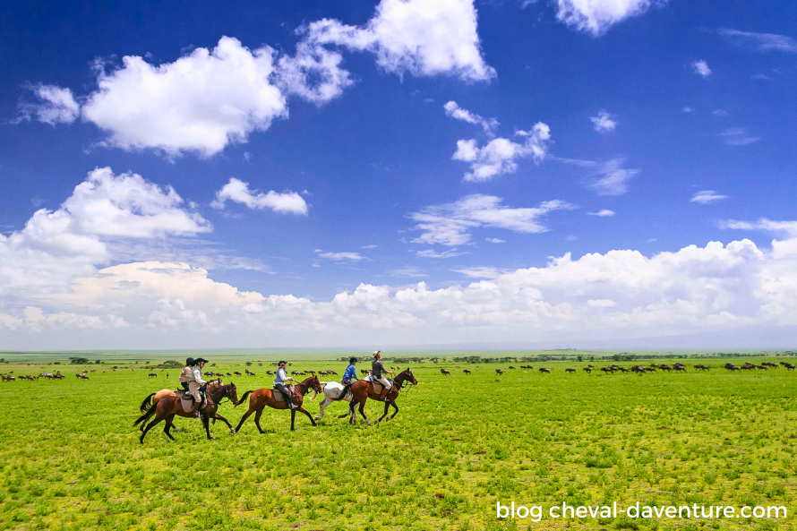 Quand partir en safari à cheval grande migration tanzanie