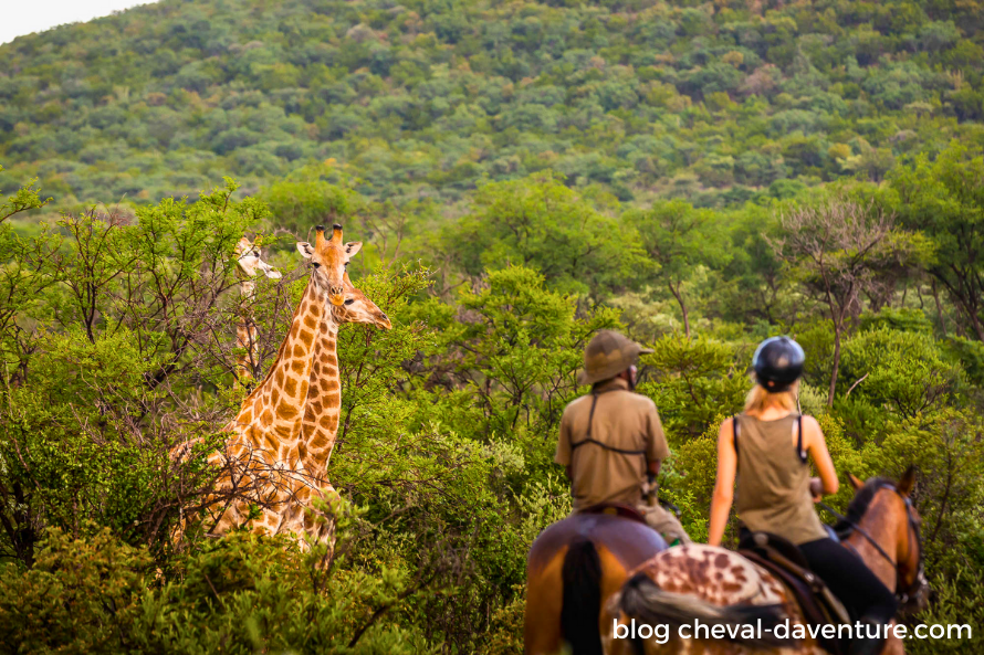 quand partir en safari à cheval afrique du sud