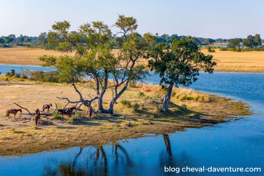 quand partir en safari à cheval botswana