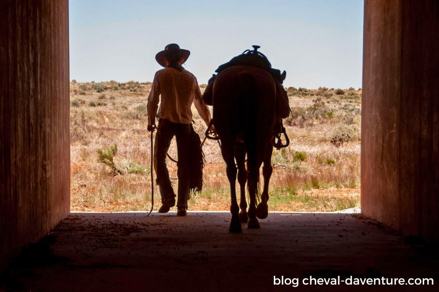 cowboy dans le far west américain