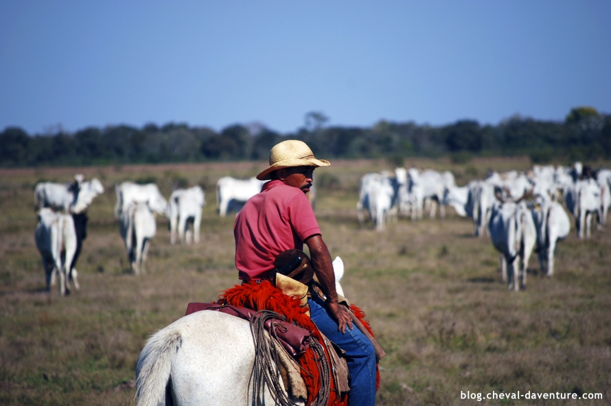 Pantaneiros sur son cheval au cœur du Pantanal @Blog Cheval d'Aventure
