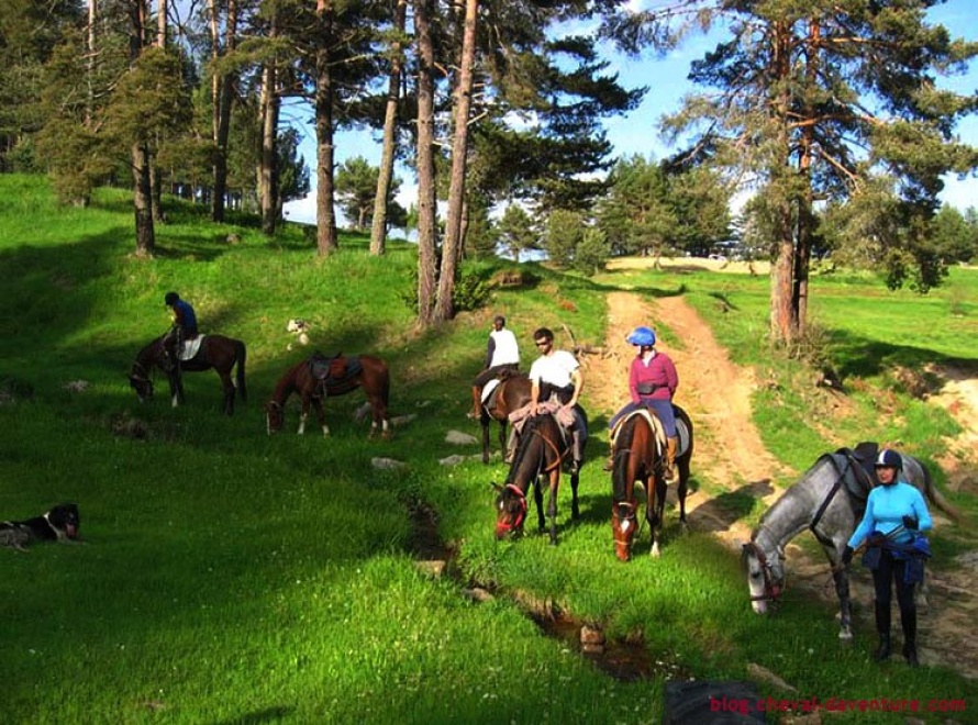 Pause pour les cavaliers et leurs chevaux dans les Rhodopes @Blog Cheval d'Aventure