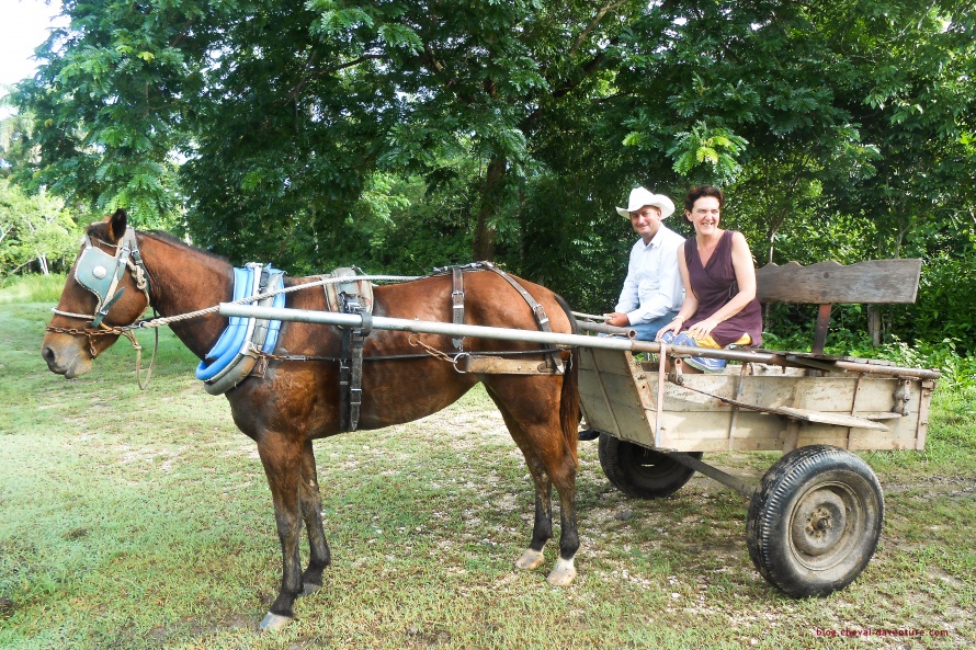 Charette à cheval à Cuba @Blog Cheval d'Aventure