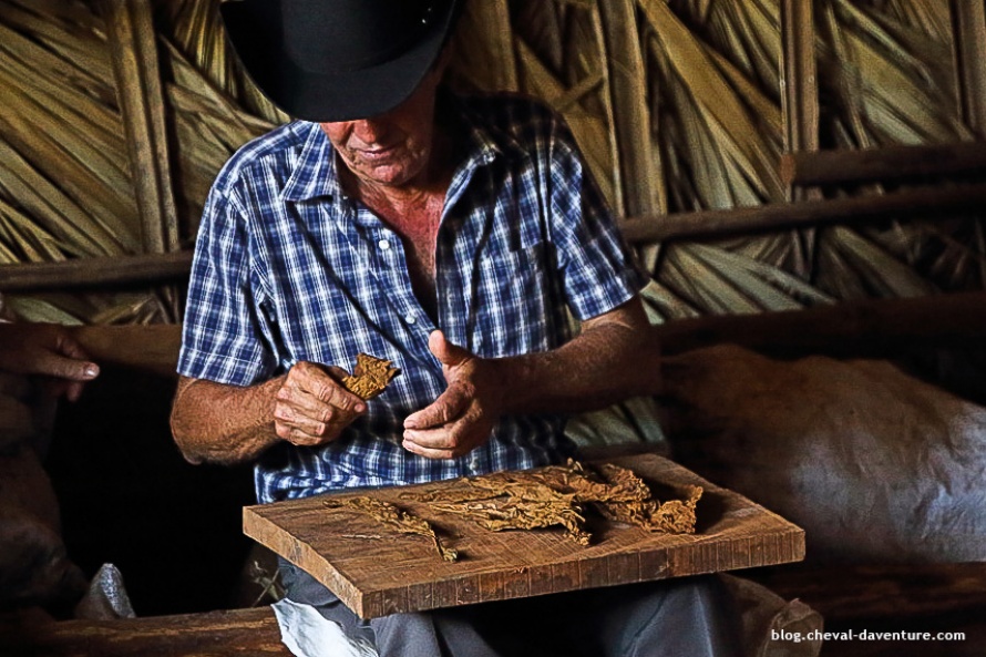 Fabrication de cigares à Cuba @Blog Cheval d'Aventure