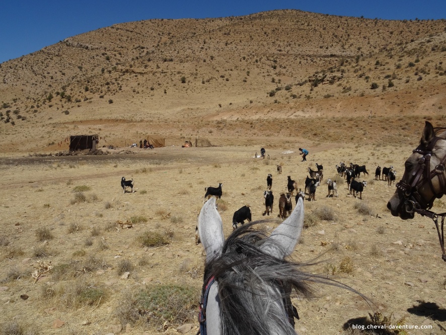 Rando à cheval en Iran @ Blog Cheval d'Aventure
