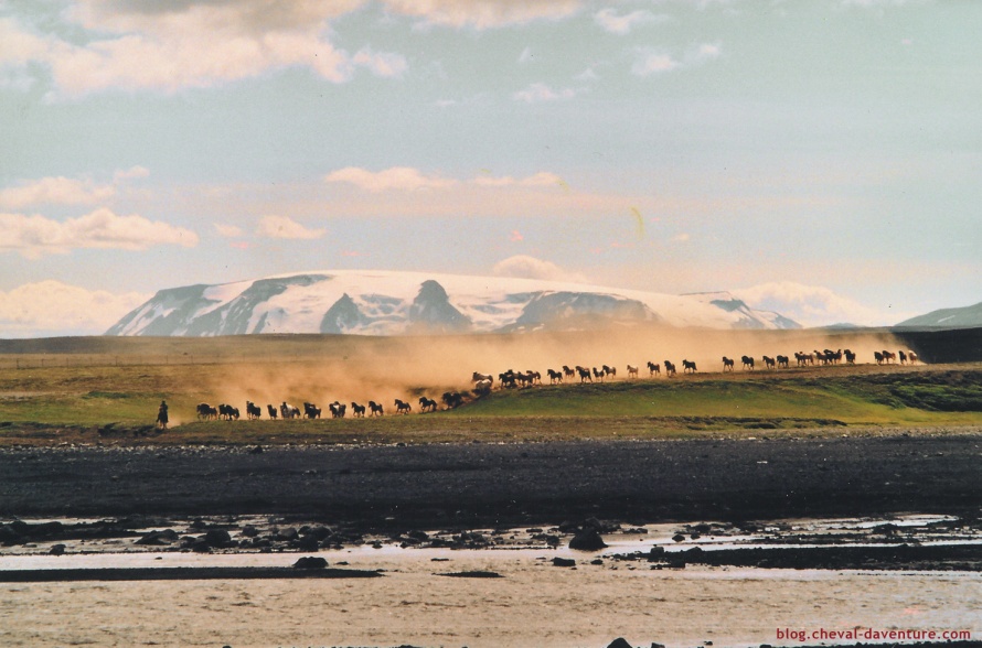 Transhumanse de chevaux en Islande @Blog Cheval d'Aventure