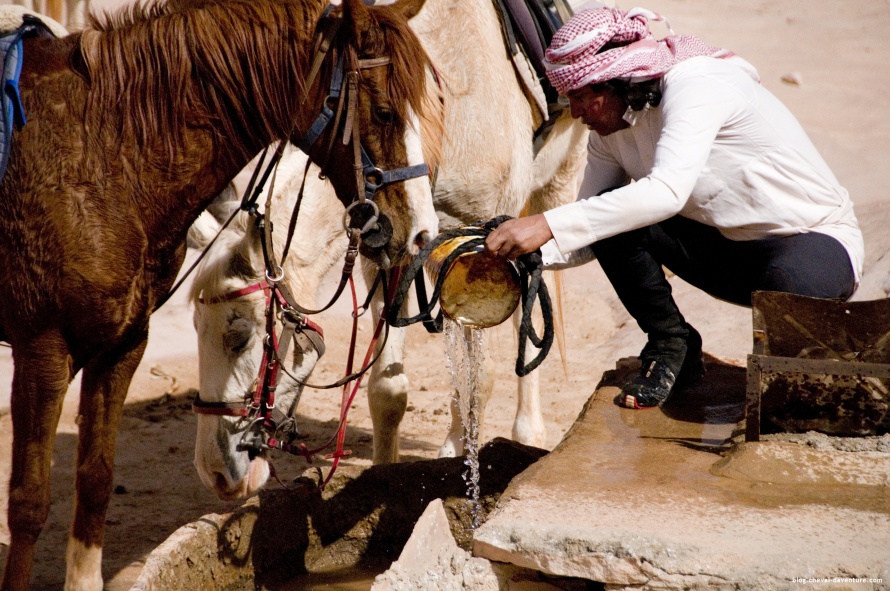 Rencontre autour d'un puits dans le désert du Wadi Rum @Blog Cheval d'Aventure