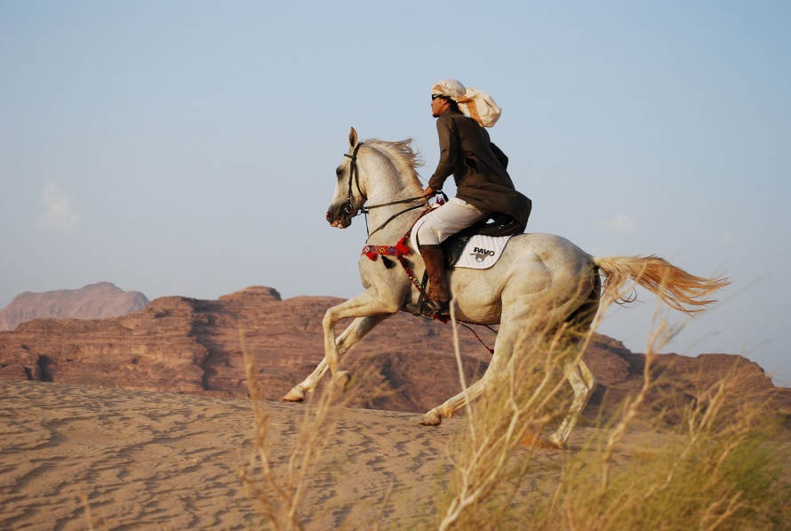 Chevauchez dans le désert sur un pur-sang @Blog Cheval d'Aventure