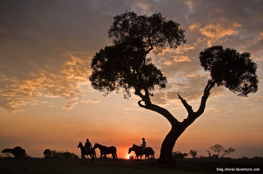 Coucher de soleil dans la brousse kenyane @Blog Cheval d'aventure