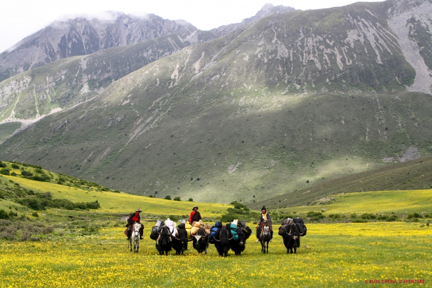 Chevauchée au Tibet @Blog Cheval d'Aventure