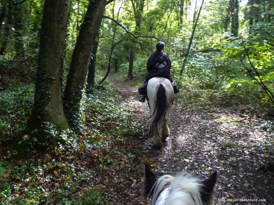 Dans la forêt à cheval @Blog Cheval d'Aventure