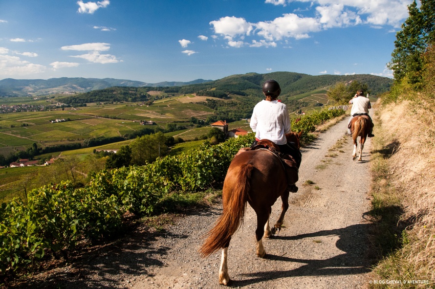 Balade avec les chevaux dans le Beaujolais @Blog Cheval d'Aventure