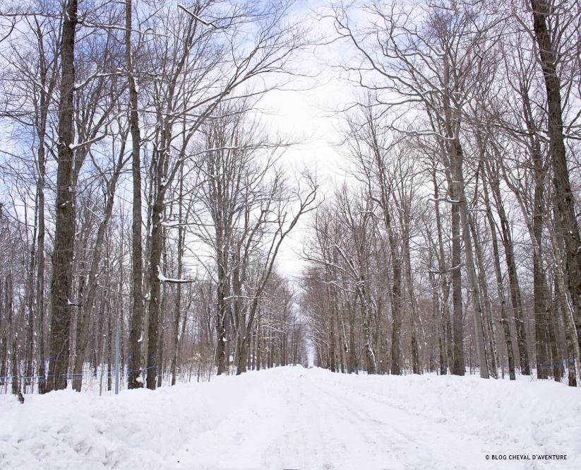 Chemin en hiver au Quebec @Blog Cheval d'Aventure