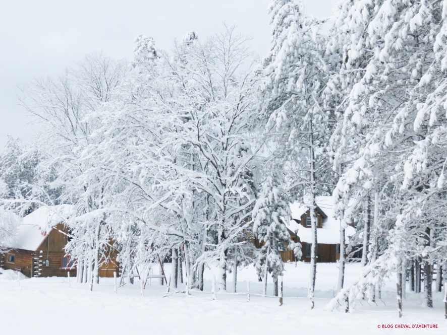 Canada en hiver @Blog Cheval d'Aventure