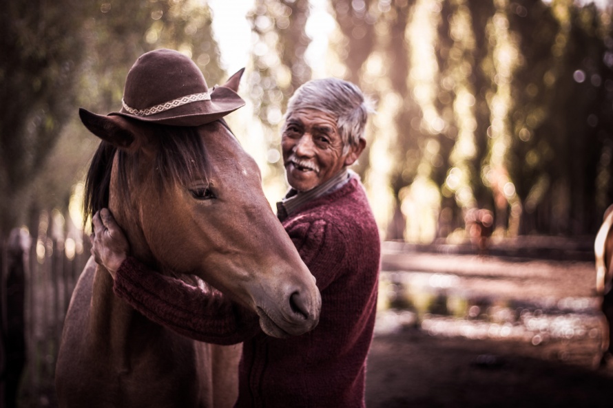 La relation entre l'homme et le cheval est au cœur du documentaire 