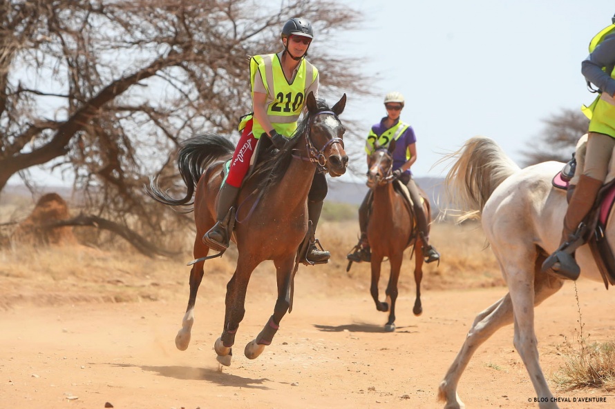 Cavalière pendant une course d'endurance @Blog Cheval d'Aventure