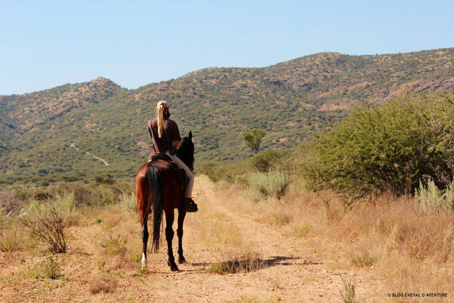 Paysage en Namibie @Blog Cheval d'Aventure